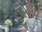 MVC_004F_003.jpg