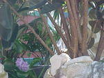 MVC_005F_003.jpg