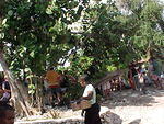 MVC-010F
