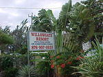 Willow Gate