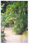 Grounds at Nirvana