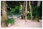 More Nirvana grounds