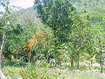 MVC_001F_010.jpg