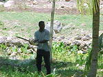 MVC_002F_009.jpg