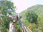 MVC_002F_010.jpg