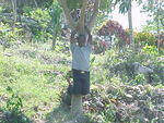 MVC_003F_010.jpg
