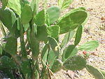 MVC_005F_009.jpg