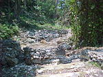 MVC_006F_007.jpg