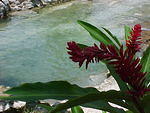 MVC_006F_012.jpg