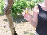 MVC_008F_009.jpg
