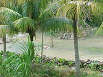 MVC_009F_008.jpg