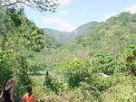MVC_010F_010.jpg