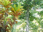 MVC_011F_005.jpg