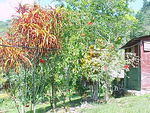 MVC_012F_003.jpg