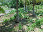 MVC_013F_005.jpg