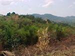 Country Drive