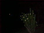 MVC_006F_003.jpg