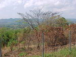 MVC_017F.jpg