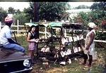 Yutan, Elaine & The Shell Lady