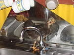 Cooking the rice n' peas for Sunday dinner in March then one of rasta stepfather's chickens came in to visit .. he found the the