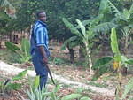 Singer & DJ Kelly Ranks cleaning up the 'yard' February 2004