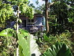 With the Half House nestling in the middle of it