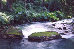 Benji's place near Roaring River - PARADISE
