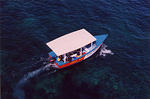 Famous Vincent's glass bottom boat