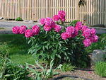 Mvc_001f_006.jpg