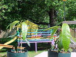 Mvc_002f_002.jpg