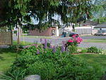 Mvc_002f_004.jpg