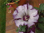 Mvc_002f_010.jpg