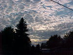 Mvc_003f_009.jpg