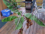 Mvc_006f_006.jpg
