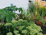 Mvc_007f_004.jpg