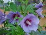 Mvc_008f_004.jpg