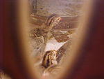 Mvc_009f_002.jpg