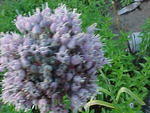 Mvc_011f_002.jpg