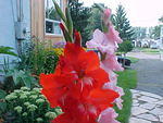 Mvc_002f_004.jpg