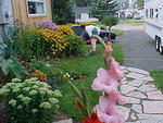 Mvc_003f_004.jpg