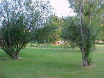 Mvc_008f_001.jpg