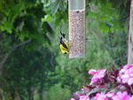 Mvc_011f_001.jpg
