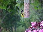 Mvc_012f_001.jpg