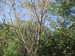 Mvc-009f