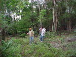 MVC_009F.jpg