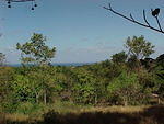 MVC_010F_001.jpg