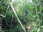 MVC_013F_001.jpg