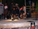 DSCN0285.jpg