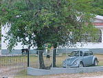 Mvc_003f_004.jpg