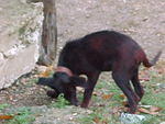 Mvc_011f_001.jpg